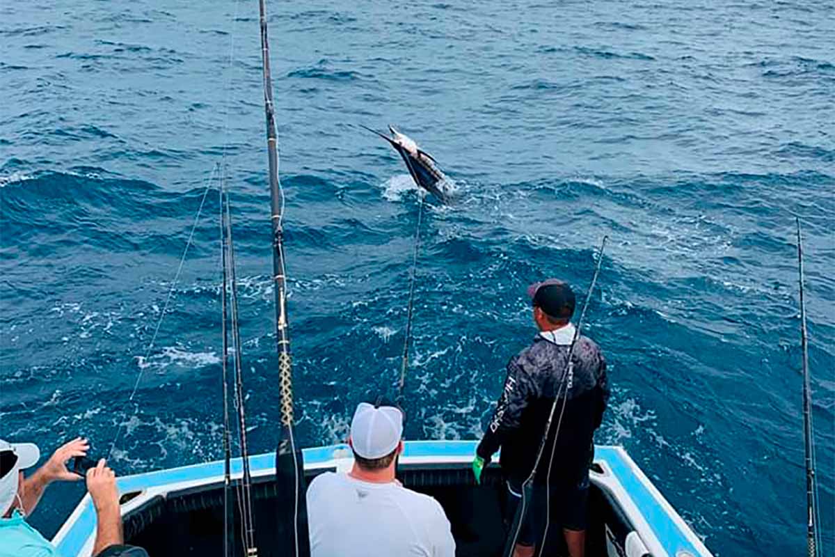 A great full day fishing trip catching sailfish with our crew.