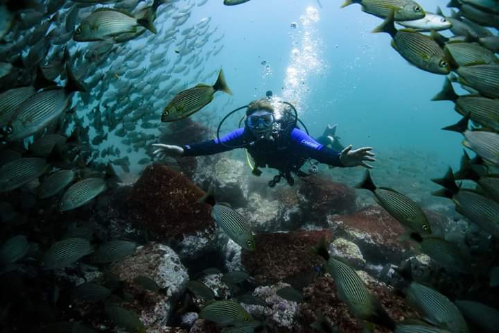 Conchal Adventures Costa Rica Scuba diving