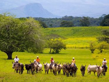 Airport private shuttles By Conchal Adventures Costa Rica