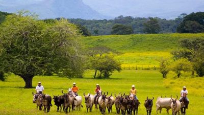 Airport private shuttles By Conchal Adventures Costa Rica