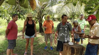 Cocoa & coconut tour