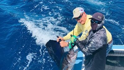 Full day fishing sailfish