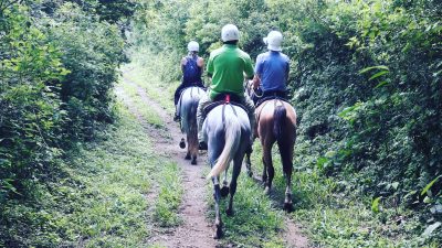Mega combo horseback riding on the jungle by Conchal Adventures Costa Rica