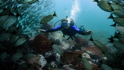 Conchal Adventures Costa Rica Scuba diving