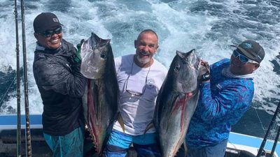 Tuna full day fishing