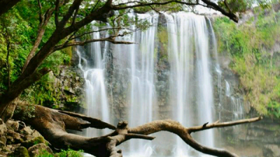 Wildlife safari waterfal